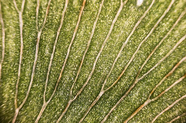 Quels sont les avantages de l'utilisation de la photosynthèse artificielle pour la production d'énergie ?